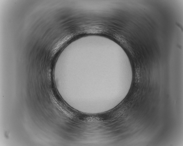 X0000101160535200807251113