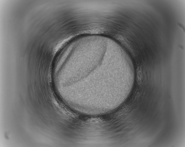 X0000101160536200807251113