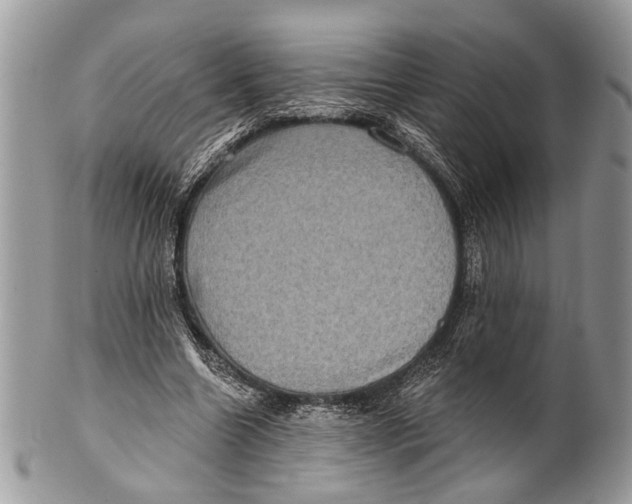 X0000101160538200807251113