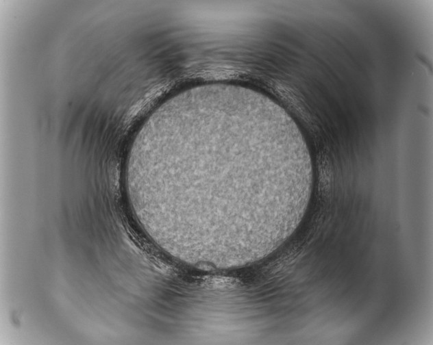 X0000101160539200807251113
