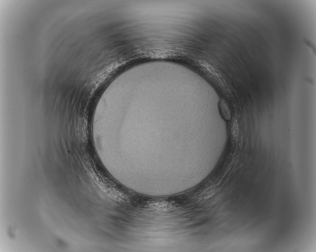 X0000101160540200807251113