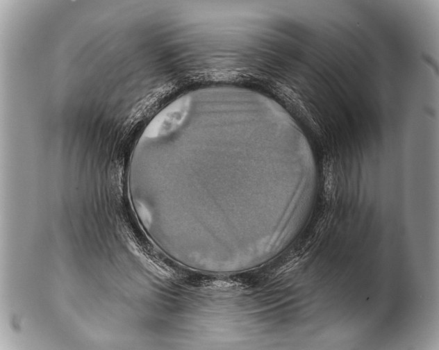 X0000101160542200807251113