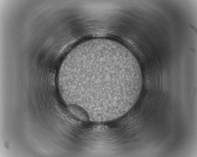 X0000101160543200807251113