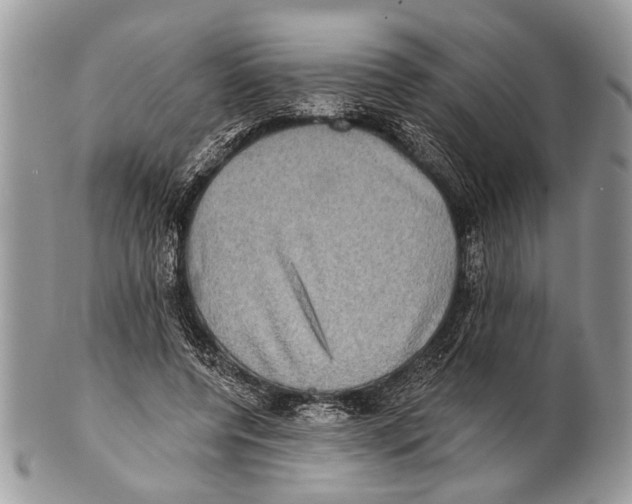 X0000101160544200807251113