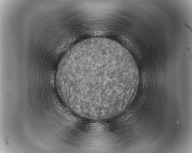 X0000101160545200807251113