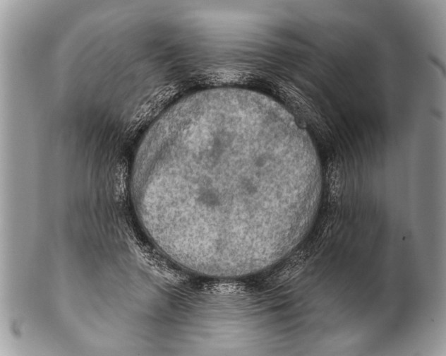 X0000101160546200807251113