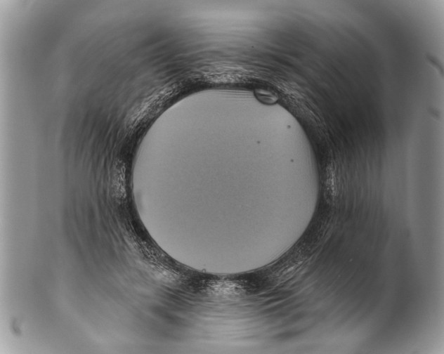 X0000101160547200807251113