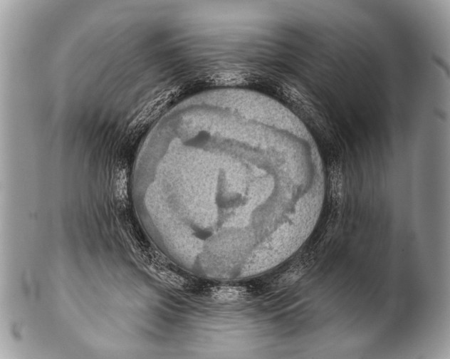 X0000101160549200807251113