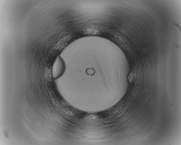 X0000101160551200807251113