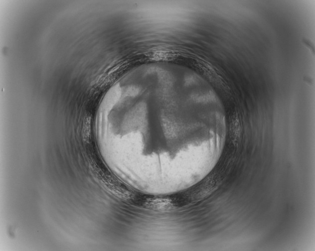 X0000101160554200807251113