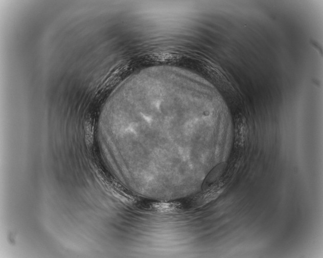 X0000101160558200807251113