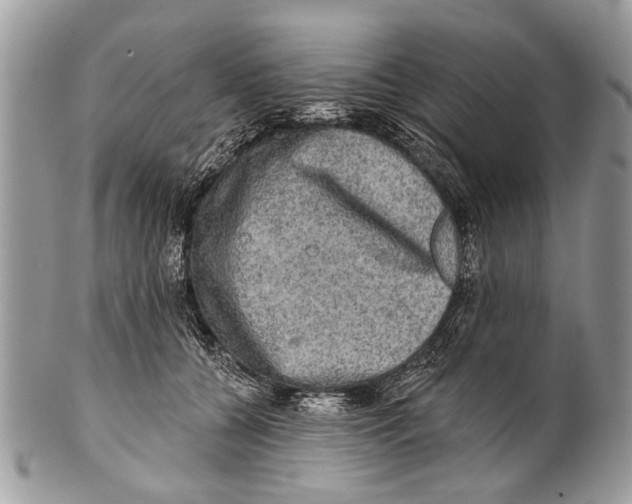 X0000101160560200807251113