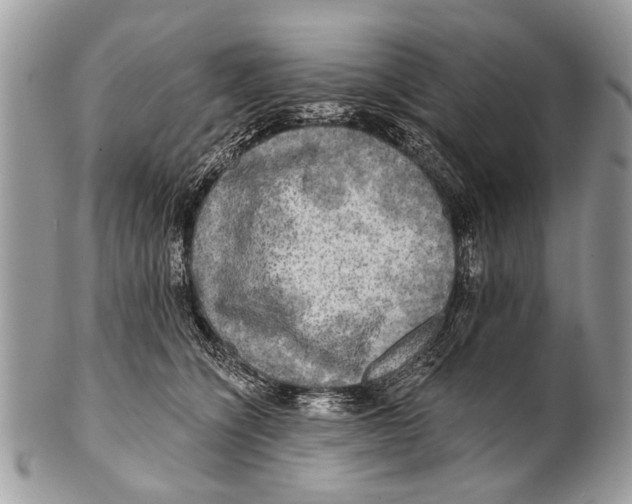 X0000101160564200807251113