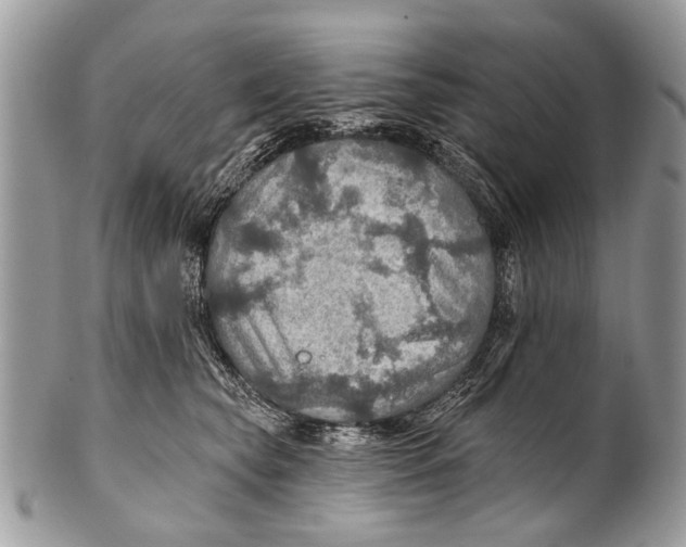 X0000101160565200807251113