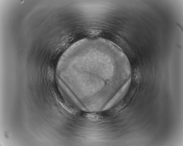 X0000101160568200807251113