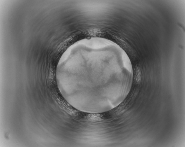 X0000101160569200807251113