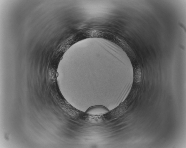 X0000101160571200807251113
