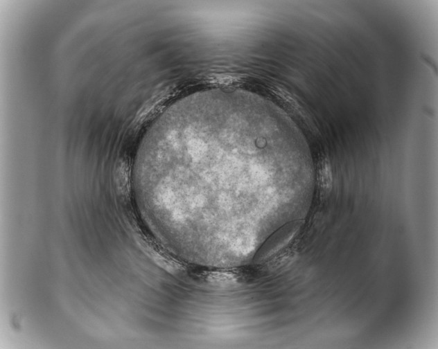 X0000101160572200807251113