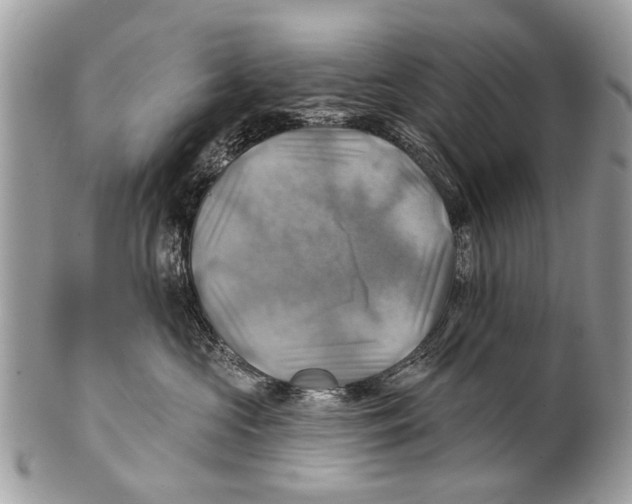 X0000101160573200807251113