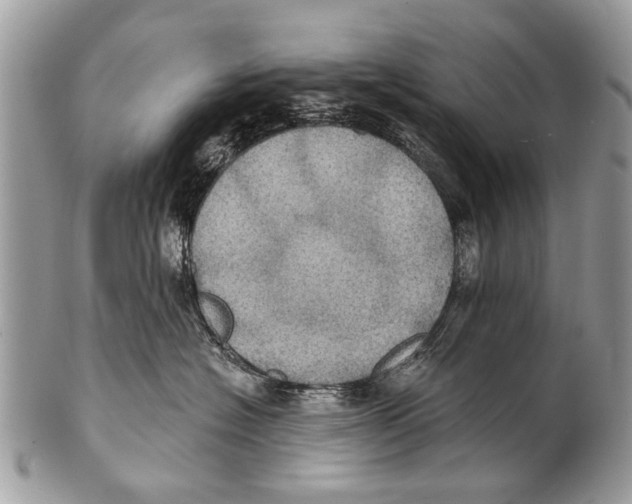 X0000101160574200807251113