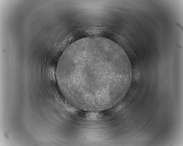 X0000101160575200807251113