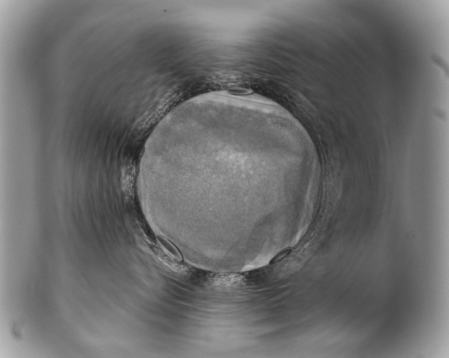 X0000101160576200807251113