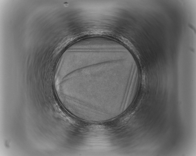 X0000101160577200807251113