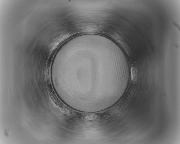 X0000101160579200807251113