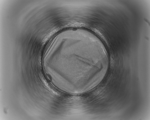 X0000101160581200807251112