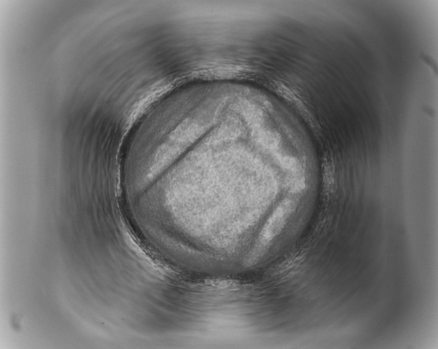 X0000101160582200807251112