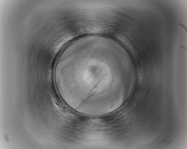 X0000101160583200807251112
