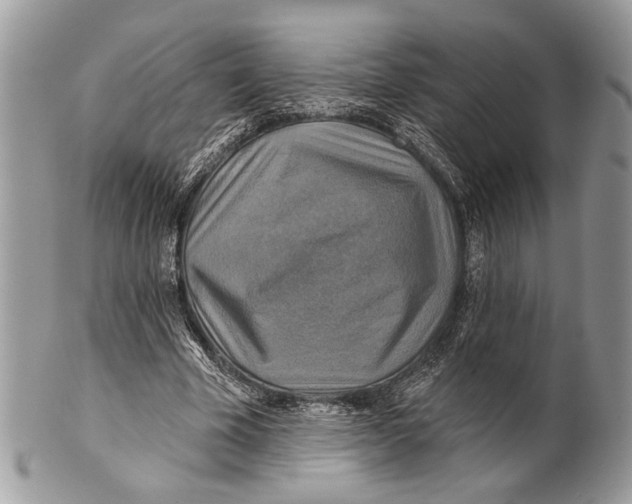 X0000101160585200807251112