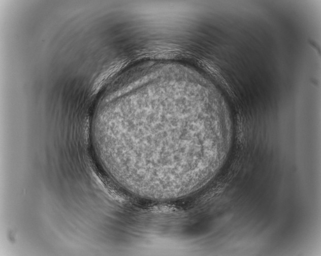 X0000101160586200807251112