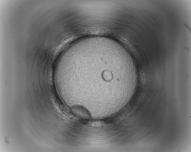 X0000101160587200807251112