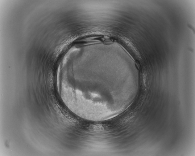 X0000101160588200807251112