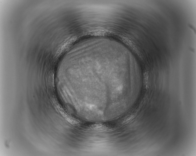 X0000101160589200807251112