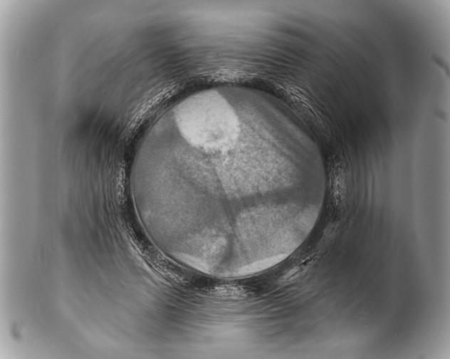 X0000101160591200807251112