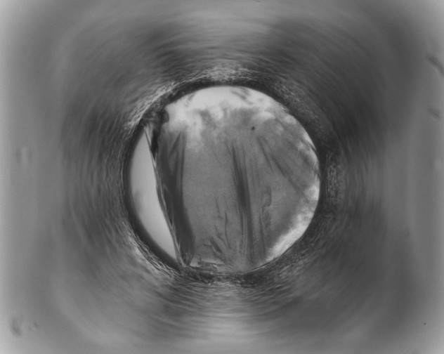 X0000101160592200807251112