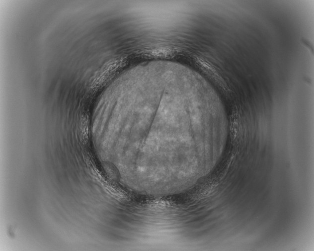 X0000101160593200807251112