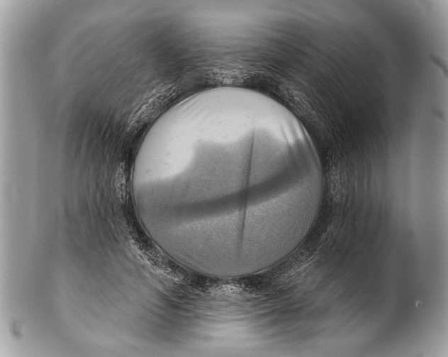 X0000101160594200807251112