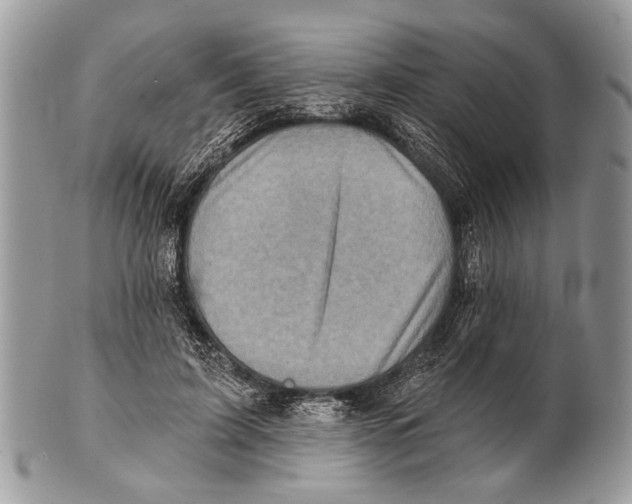 X0000101160595200807251112