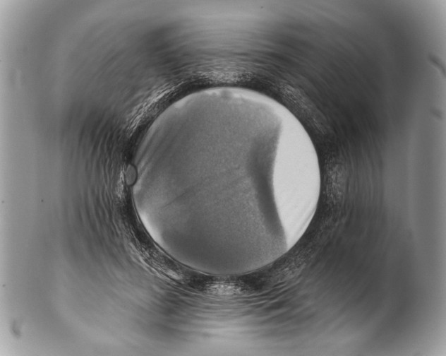X0000101160596200807251112