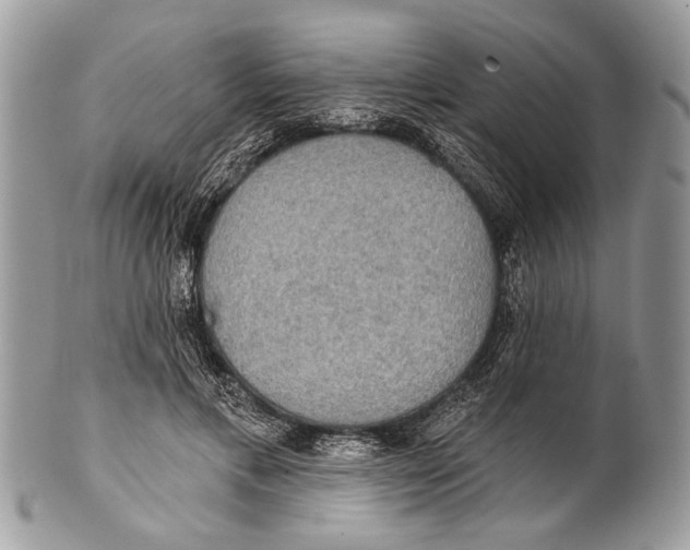 X0000101160597200807251112