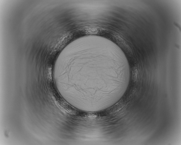 X0000101160598200807251112
