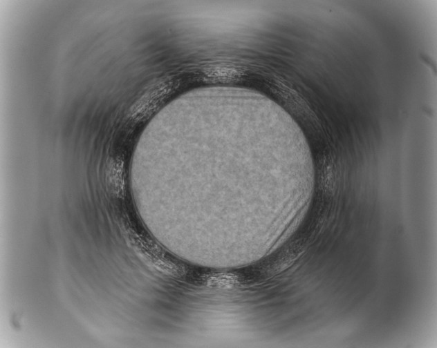 X0000101160599200807251112