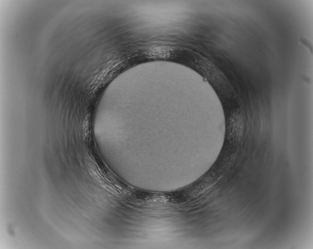 X0000101160600200807251112