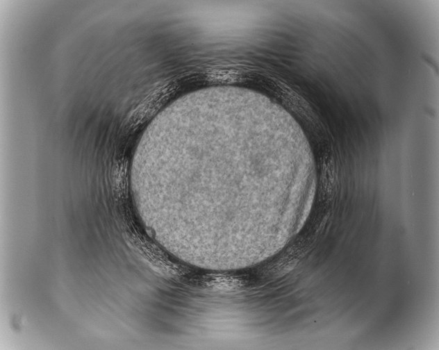X0000101160601200807251112