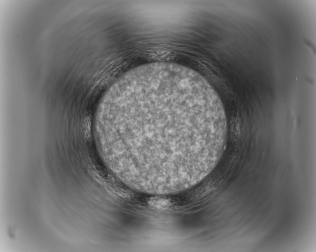 X0000101160602200807251112