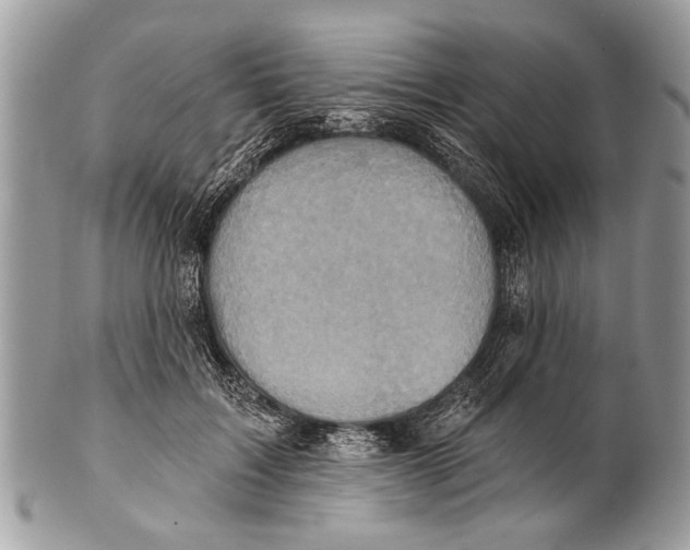 X0000101160603200807251112