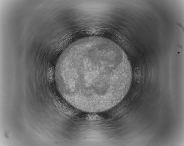 X0000101160605200807251112